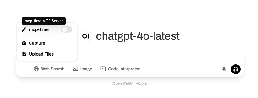 Open WebUI Tool Server Information